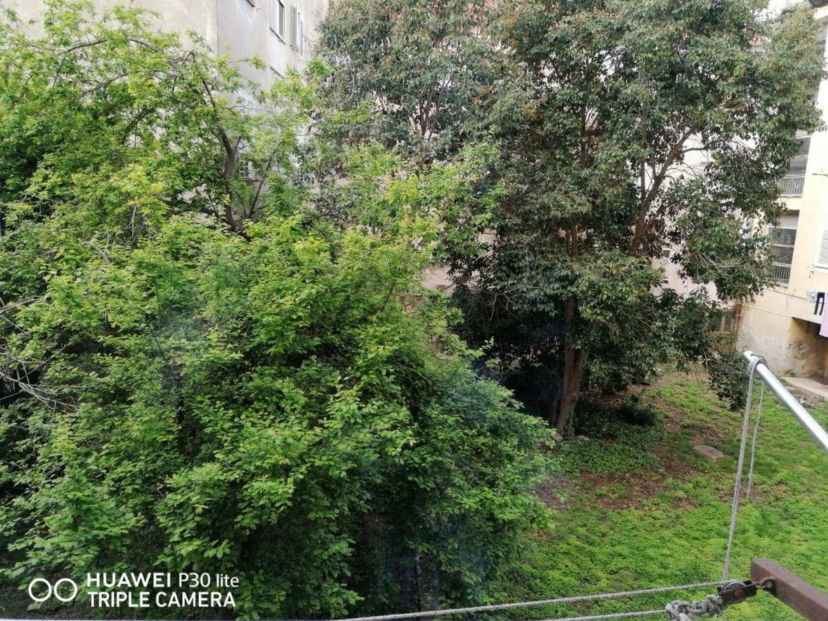 Apartment Linda - Zadar City Center Ngoại thất bức ảnh