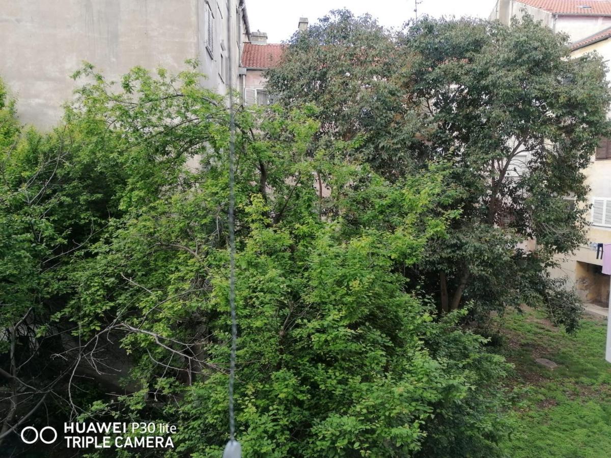Apartment Linda - Zadar City Center Ngoại thất bức ảnh
